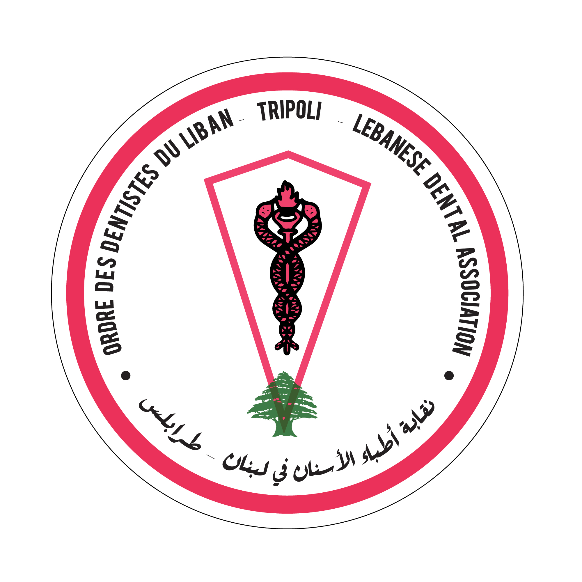Lebanese Dental Association project